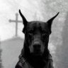 Profilbild von R Chueco