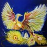 phoenix 的头像
