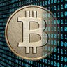 cryptotom's profile picture