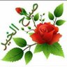 M.KASSEM's profile picture