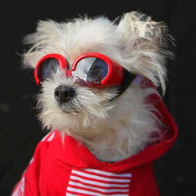 Cristian Vlad's profile picture