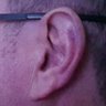 freespeech's profile picture