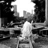 hammer.coin's profile picture