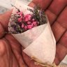 Girl roses's profile picture