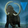 Profilbild von Crypto Mammoth
