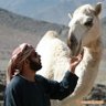 سليمان أبن مخيلي profil fotoğrafı