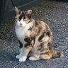 鬼 profil fotoğrafı
