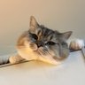 Фото профиля Porie #