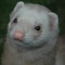 Profilbild von Clive Slade