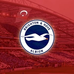 Brighton Türkiye's profile picture