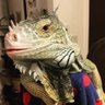 Profilbild von zoom