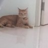 Mathew TE profil fotoğrafı