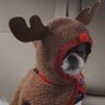 karlabetz's profile picture