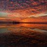 Фото профиля David Wang