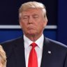 DonaldTrumpofWarframe's profile picture