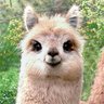 Profilbild von Иван Петров