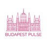 Budapest Pulse 的头像