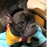 小春🅿️'s profile picture