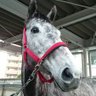 宮内牧場's profile picture