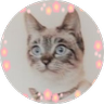 Spica🐈消費税は廃止！ profil fotoğrafı