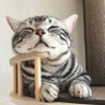 ชาตินี้ไม่น่าจะผอมแล้วล่ะมึงอ่ะ's profile picture