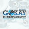 Coded_Plumber 🇹🇬🇳🇬 profil fotoğrafı
