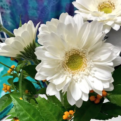 akinkokko7's profile picture