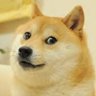 vittuperkele's profile picture