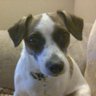 Profilbild von Terry