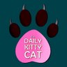 Profilbild von The Daily Kitty Cat