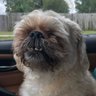 Profilbild von Ugly Underdog Sports