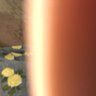 ETS's profile picture