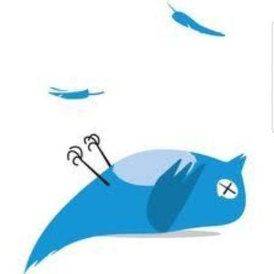 Drkhenaizan's profile picture