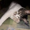 Marionelsonbonilla's profile picture