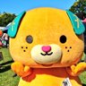 Profilbild von Futoshi.T