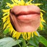 Kärleken's profile picture