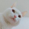 (⁎⁍̴̛ᴗ⁍̴̛⁎)葵⁷💜Слава Україні!🇺🇦 profil fotoğrafı