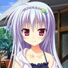 梅むすめ's profile picture