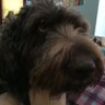 Profilbild von RickMak