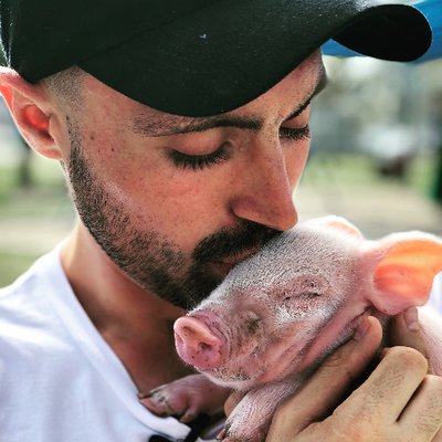 Joey Carbstrong's profile picture