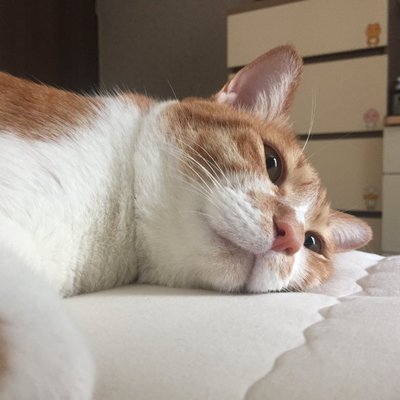금동이🎊's profile picture