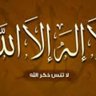 Фото профиля تران أحمد عبد الغفور