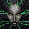 shodan lover profil fotoğrafı