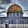 Profilbild von ابراهيم الدوسري