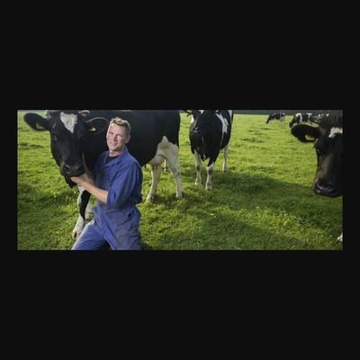 John Arink's profile picture