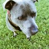 Profilbild von Digger