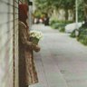 Mahshid.Hf 的头像