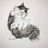 ノルにゃんこ 的头像
