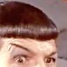 Spock’s Haircut 的头像