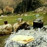 Фото профиля کِی بلیپسو_گال
